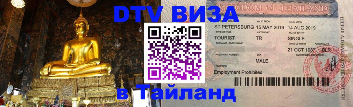 Оформление DTV визы под ключ: стоимость и тарифы, только загранпаспорт - Чебоксары 